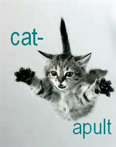 catapulted cat2