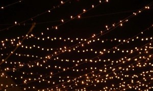 blogxmaslights4