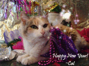 CatNewYears